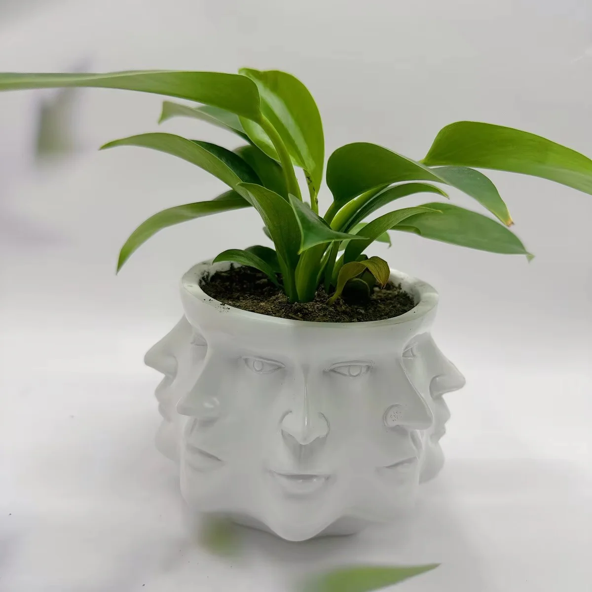 ArtFace 3D Keramische Pflanzenkasse – Modernes Gesichtsdesign Topf - Image 5