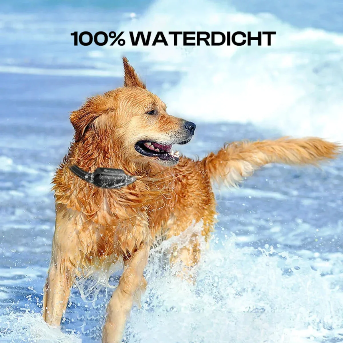 [BANNED IN GERMANY 04-10-2026] Elektrische Hundetrainingskragen mit Fernbedienung, wasserdicht, 16 einstellbare Stoßstufen, 1000 m Range, Piepton- und Vibrationsmodi - Image 4