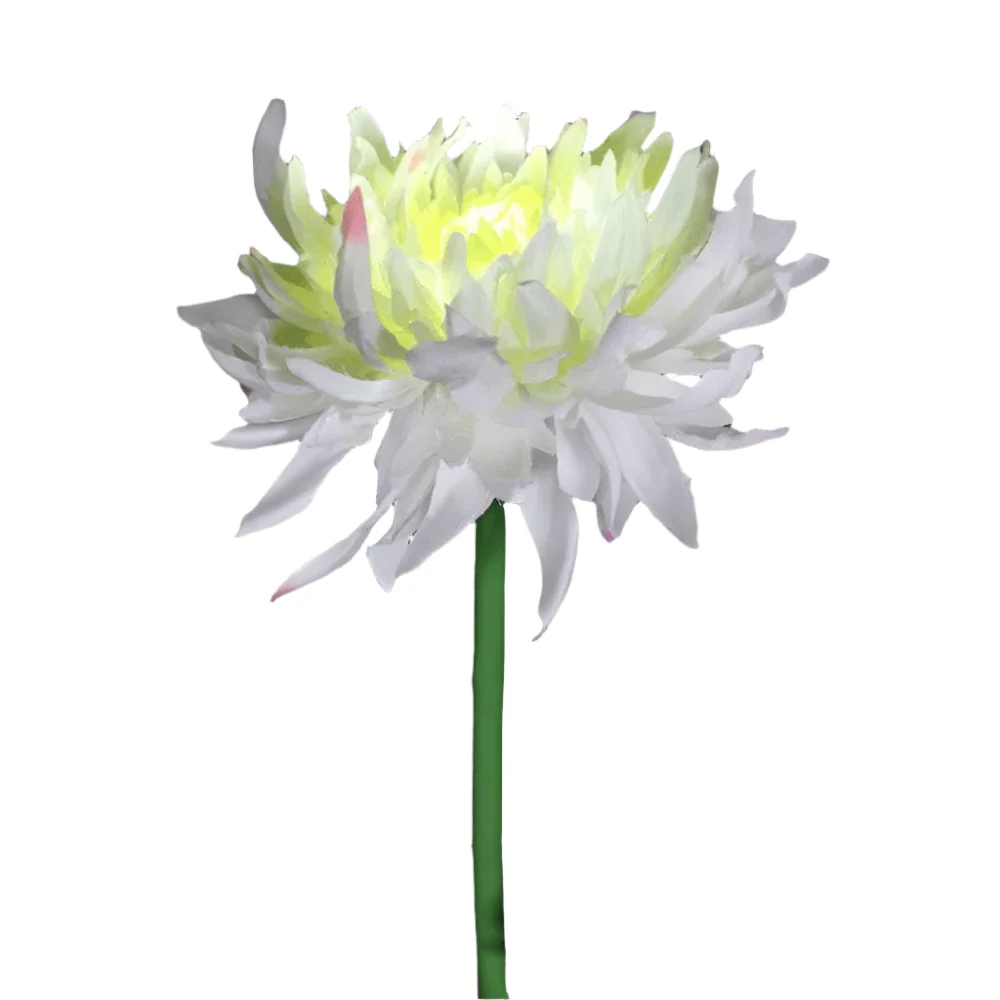 BloomGlow solarbetriebene Gartenlampen – Farbwechselnde LED-Außendekoration