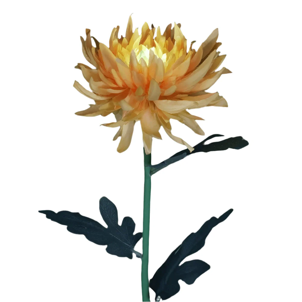 BloomGlow solarbetriebene Gartenlampen – Farbwechselnde LED-Außendekoration - Image 7