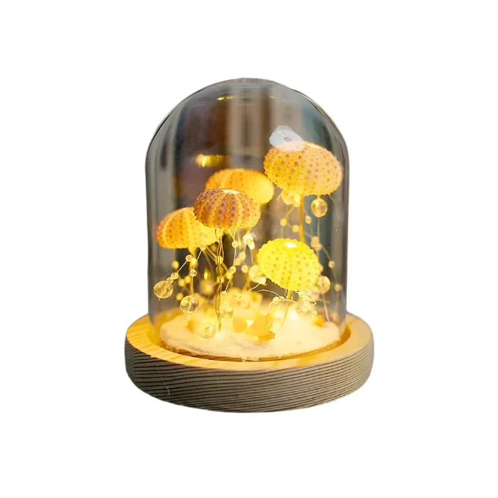 CoastalGlow DIY Igel Nachtlampe