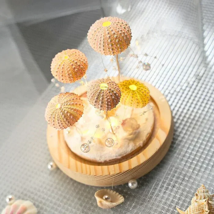 CoastalGlow DIY Igel Nachtlampe - Image 4