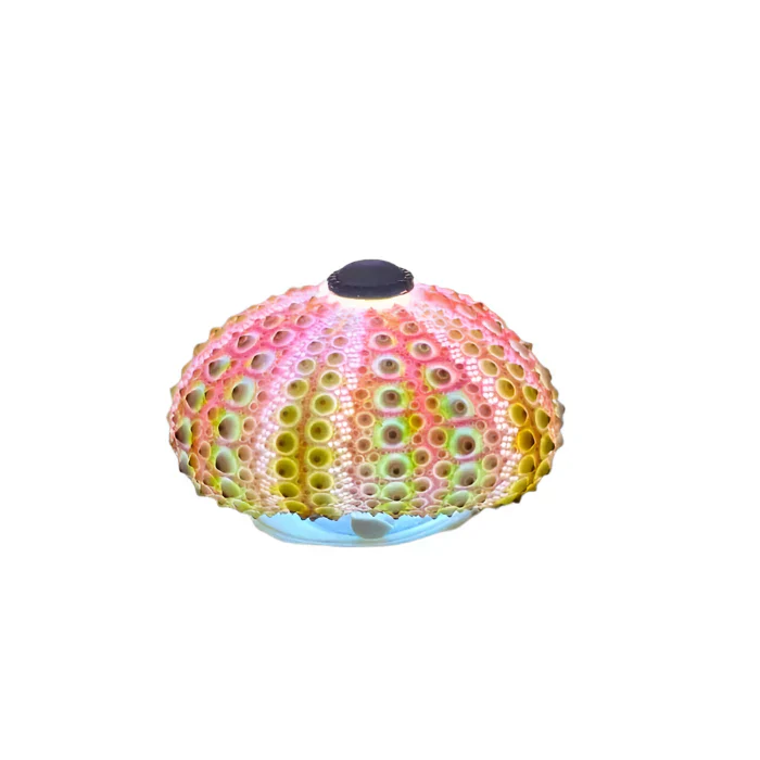 CoastalGlow DIY Igel Nachtlampe - Image 9