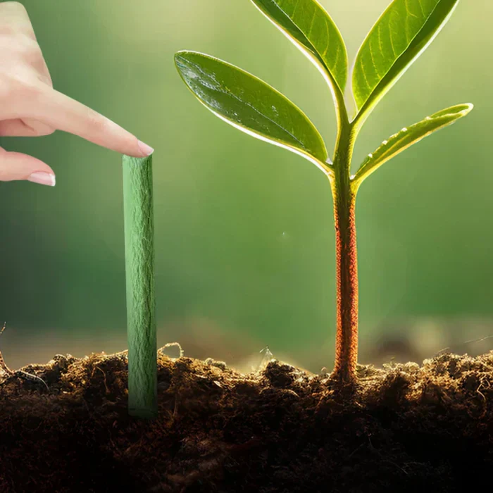 EcoBloom Nährstoffstäbchen – Langzeitdünger für einfache und nachhaltige Pflanzenpflege - Image 2