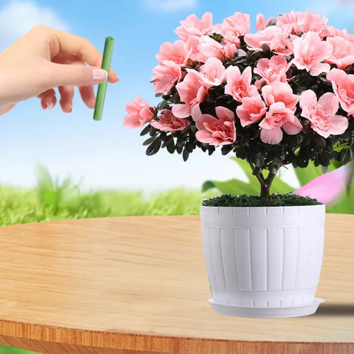 EcoBloom Nährstoffstäbchen – Langzeitdünger für einfache und nachhaltige Pflanzenpflege - Image 3