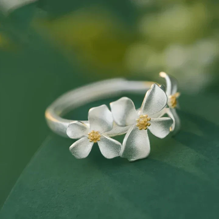 Gänseblümchen Versilberter Ring