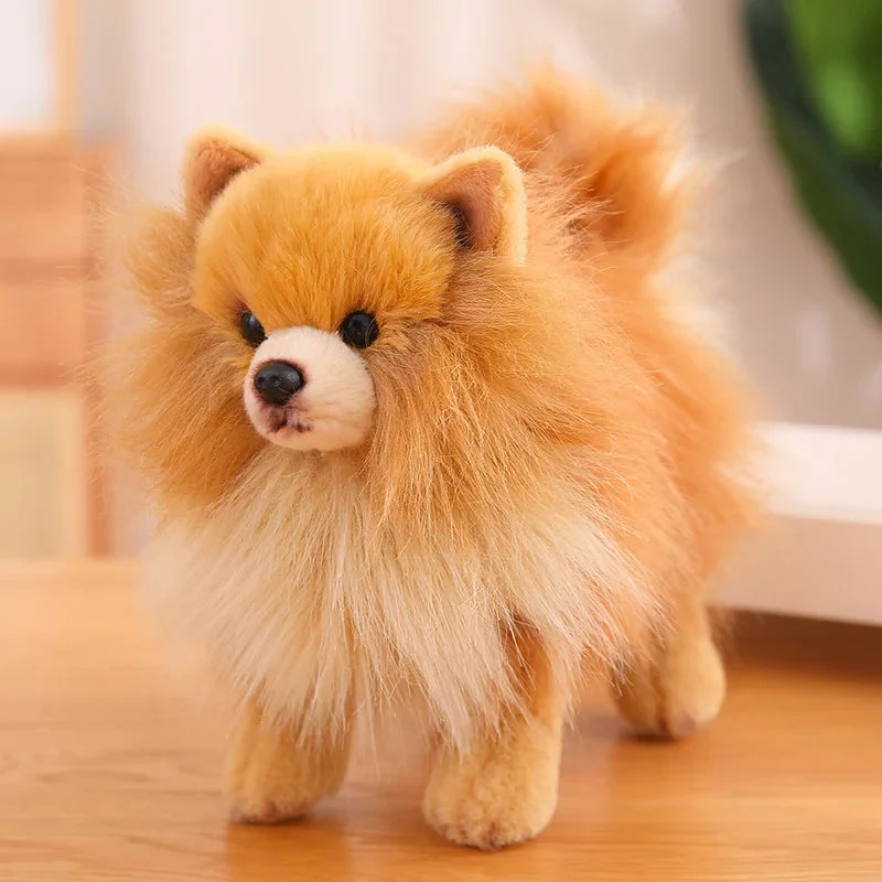 Hochwertiger Plüsch-Pomeranian – Weiche, realistische Hunde-Plüschtiere für Kinder, 30 cm groß