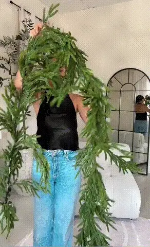 KiefernGlanz™ Immergrüner festlicher Akzent - Image 6