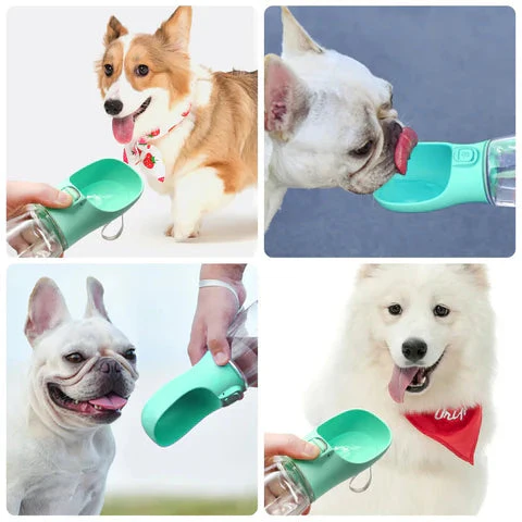 PawSip | Auslaufsichere, tragbare Hunde-Trinkflasche für Reisen und Spaziergänge im Freien