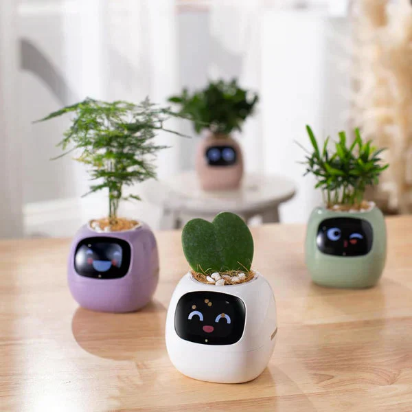 PlantPal Smart Interaktive Pflanzgefäß – KI-gesteuerte Topf mit animiertem Display und Umweltsensoren - Image 2