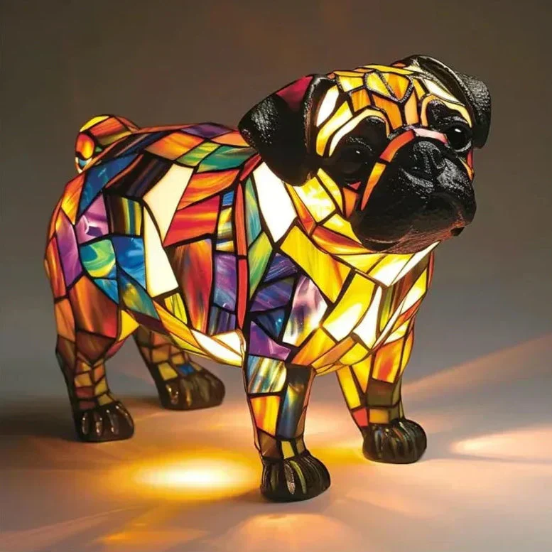 Pug Lucky Ray